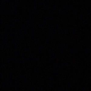 Meet your Posher, Maxwell